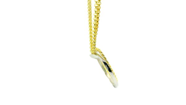 SS and18K Vermeil Interlocking Circle Pendant - Image 2
